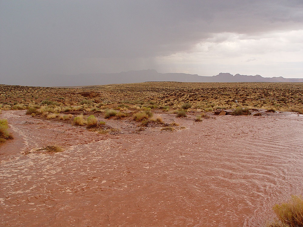 Desert Sands | Ask A Biologist